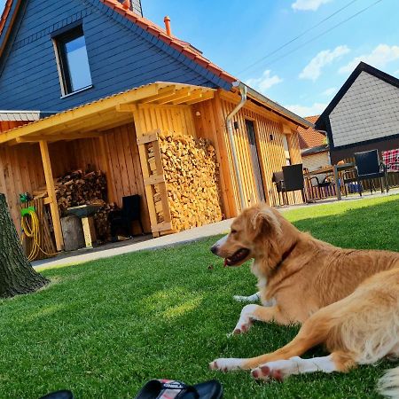 Ferienhaus Darlingerode Villa Bagian luar foto