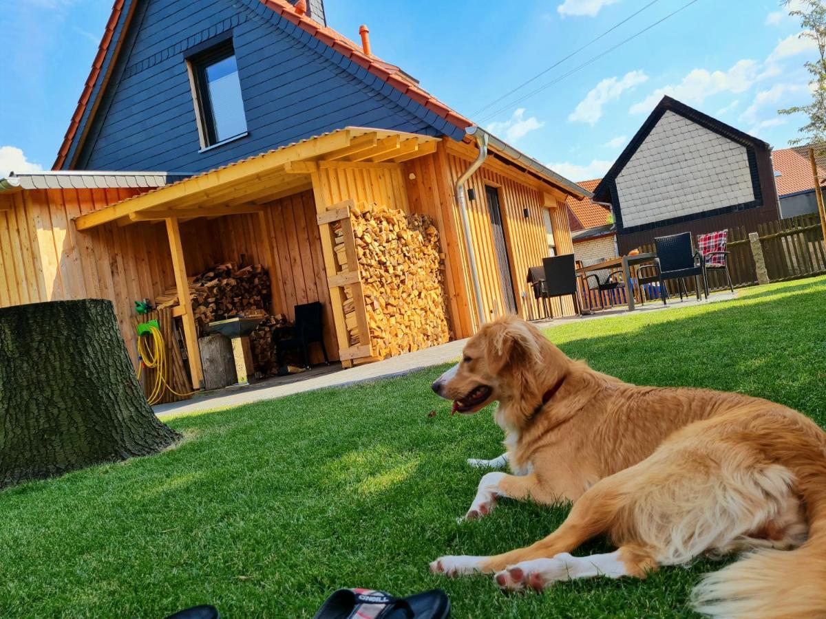 Ferienhaus Darlingerode Villa Bagian luar foto